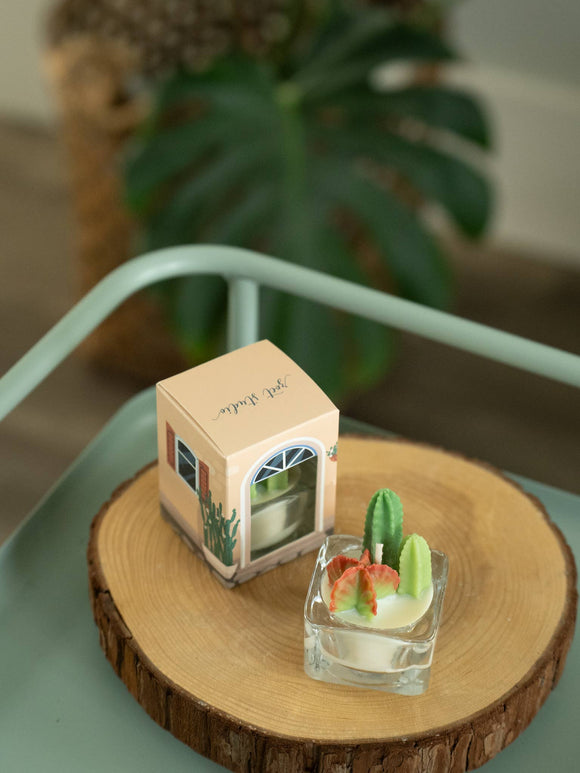 Bunny Ears and Fairy Castle Cactus Tealight Candles