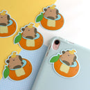 Capybara in an Orange Bath Vinyl Sticker-4
