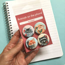 Animals on the Phone Fridge Magnets (set of 4)-5