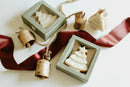 Evergreen Soap Bar: Holiday Collection-4