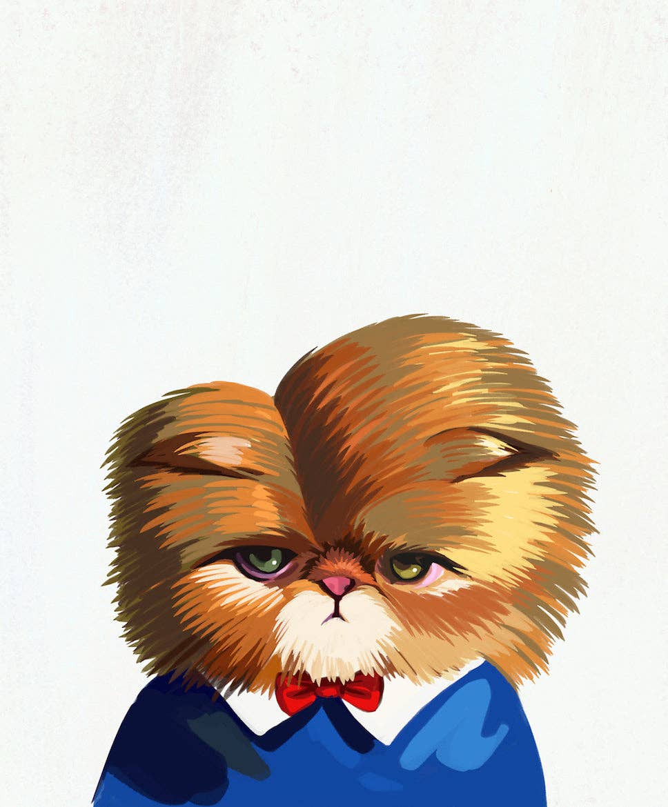 Kitten Greeting Card - 0