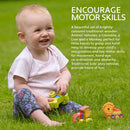 First Jungle Animals-4