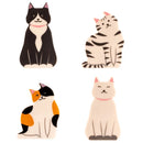 Kitty Bag Clips-3