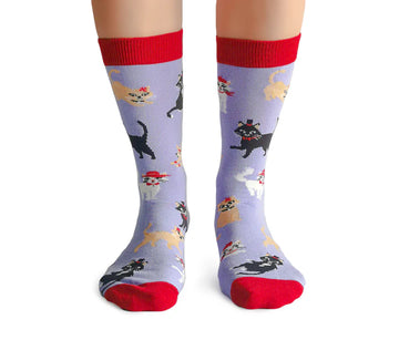 Women's Cats in Hats Socks - Purple crew socks with red cuffs and toes, featuring unique handmade cats wearing hats, Canadian gift idea.