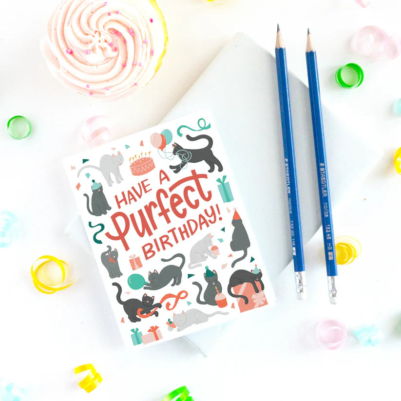 Eye Spy Cat Birthday Card - 0