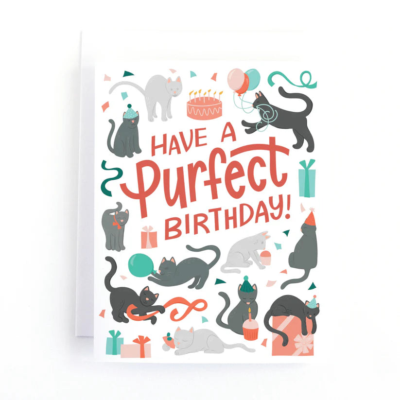 Eye Spy Cat Birthday Card