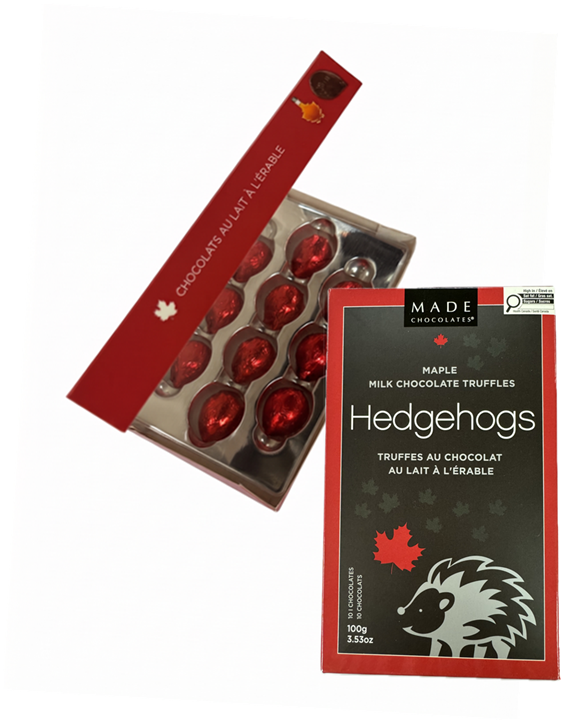 Chocolate Hedgehog