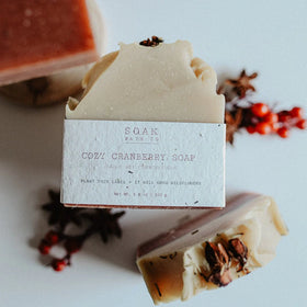 Cozy Cranberry Soap Bar