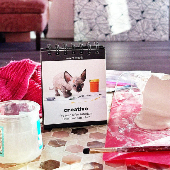 Daily Cattitudes Desktop Flip Book