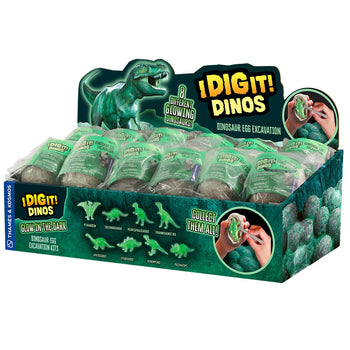 I dig it! Dinos - Glow-in-the-dark T. Rex Dino Egg - Display box of unique handmade Canadian glow-in-the-dark T. Rex dino egg toys, perfect gift for kids.