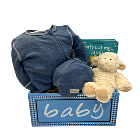 New Baby Boy Gift Basket