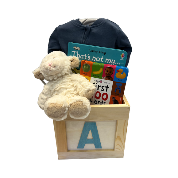 Snuggle & Story Baby Block Basket - Blue