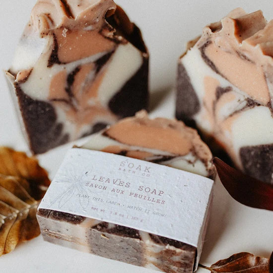 Leaves Soap Bar