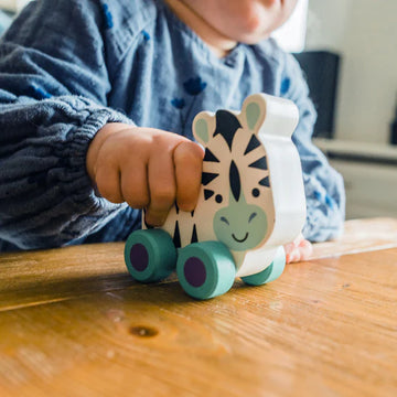Zebra First Push Toy - 0
