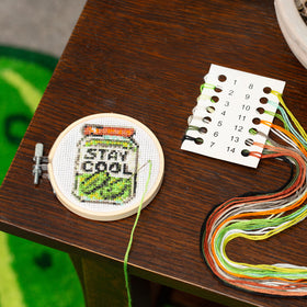 Pickle Mini Cross Stitch Embroidery Kit