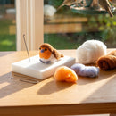 Bird Felting Kit-3