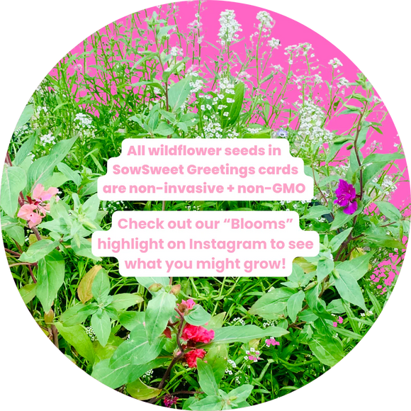 Mom + Bee Greeting Card (SowSweet)