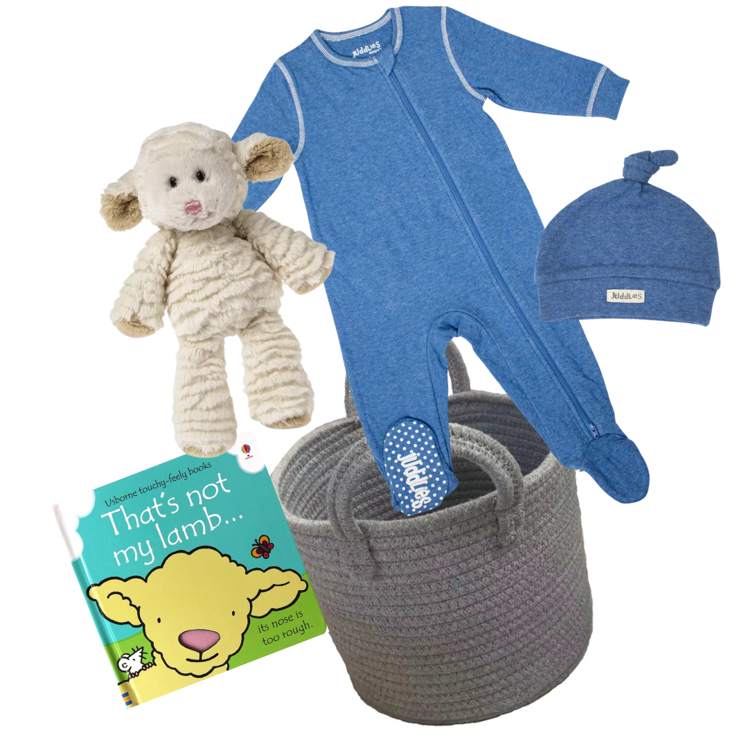 New Baby Boy Gift Basket