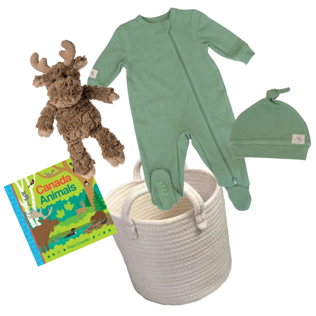 New Baby Boy Gift Basket - Moose