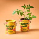 Awesome Sauce - Cherry Tomato Plant Kit-2