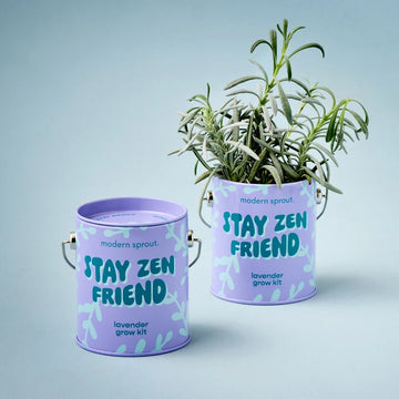 Stay Zen Friend - Lavender Plant Kit
