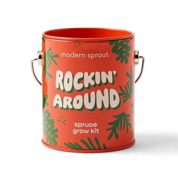 Rockin' Around - Norway Spruce Plant Kit