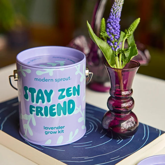 Stay Zen Friend - Lavender Plant Kit