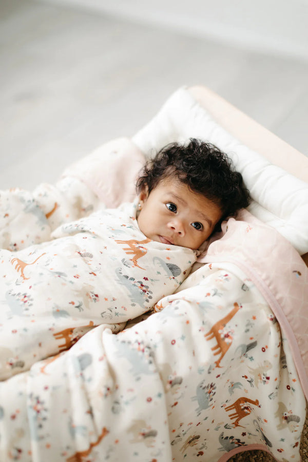 A baby in the baby dinomite muslin swaddle