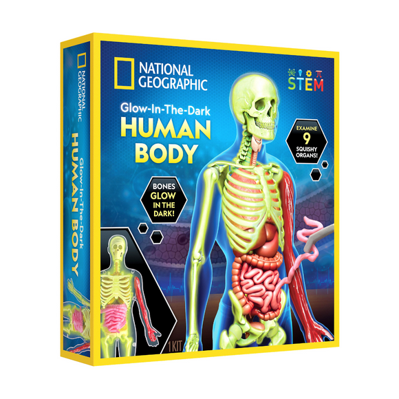Glow-in-the-Dark Human Body