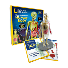 Glow-in-the-Dark Human Body - 0