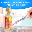 Glow-in-the-Dark Human Body-4