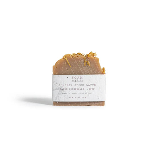 Pumpkin Spice Soap Bar: Fall Collection - 0