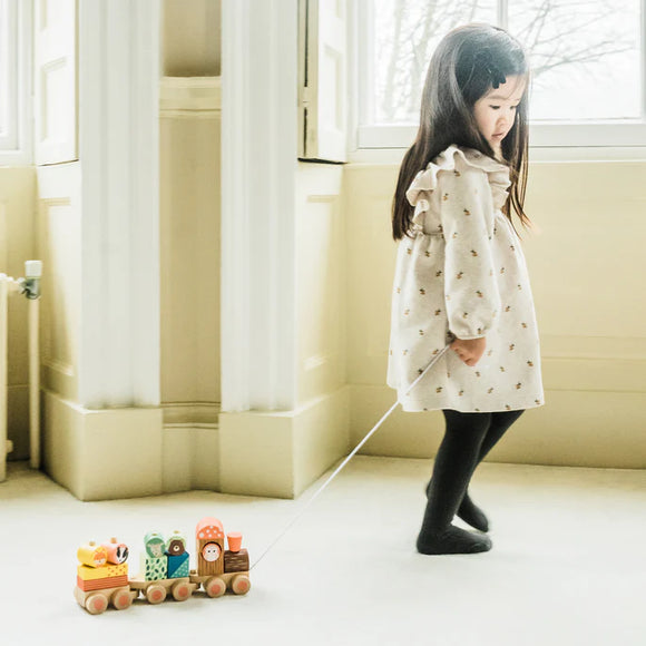 Woodland Puzzle Train