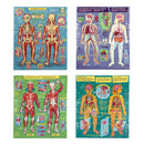 Ready to Learn - Human Anatomy 4-Puzzle 48 Piece Set-3