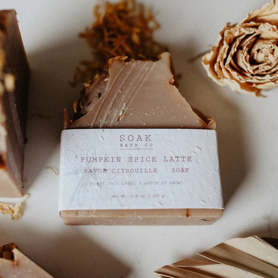 Pumpkin Spice Soap Bar