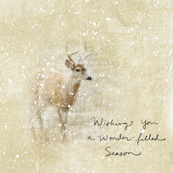 Wonder Filled Season Christmas Card
