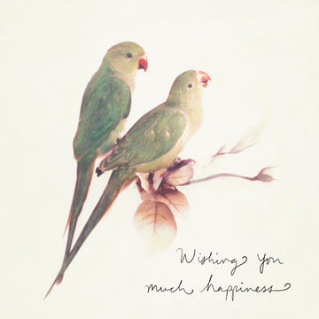Love Birds Card