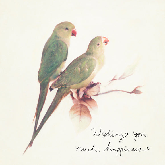 Love Birds Card