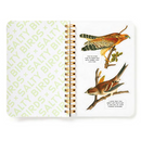 Salty Birds Sticker Book-7