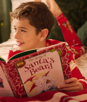 The Story Of Santa's Beard Book