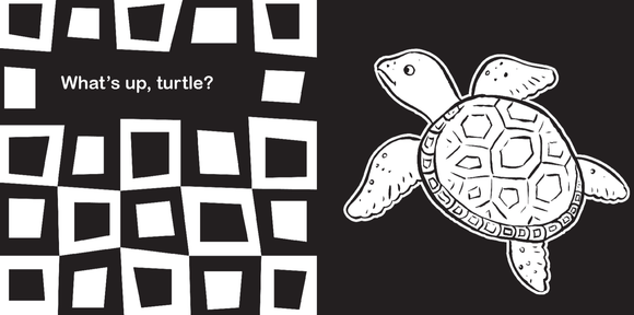 Hello, Ocean Friends