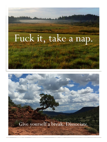 Disappointing Affirmations Sticker Book - Sticker book with two unique, handmade Canadian affirmation designs featuring nature backgrounds and cheeky messages,.