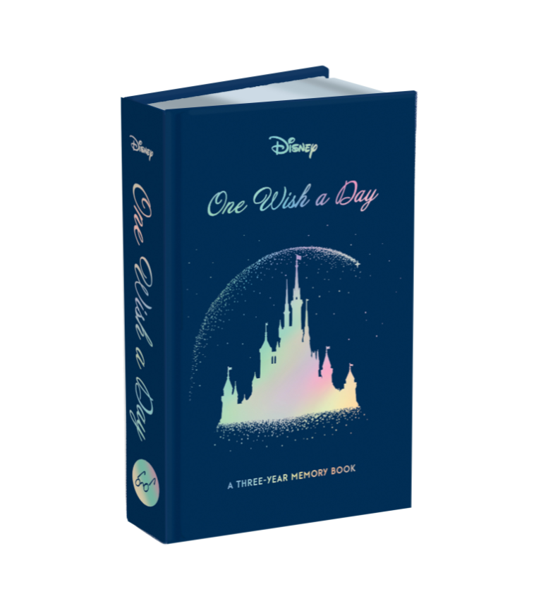Disney One Wish a Day