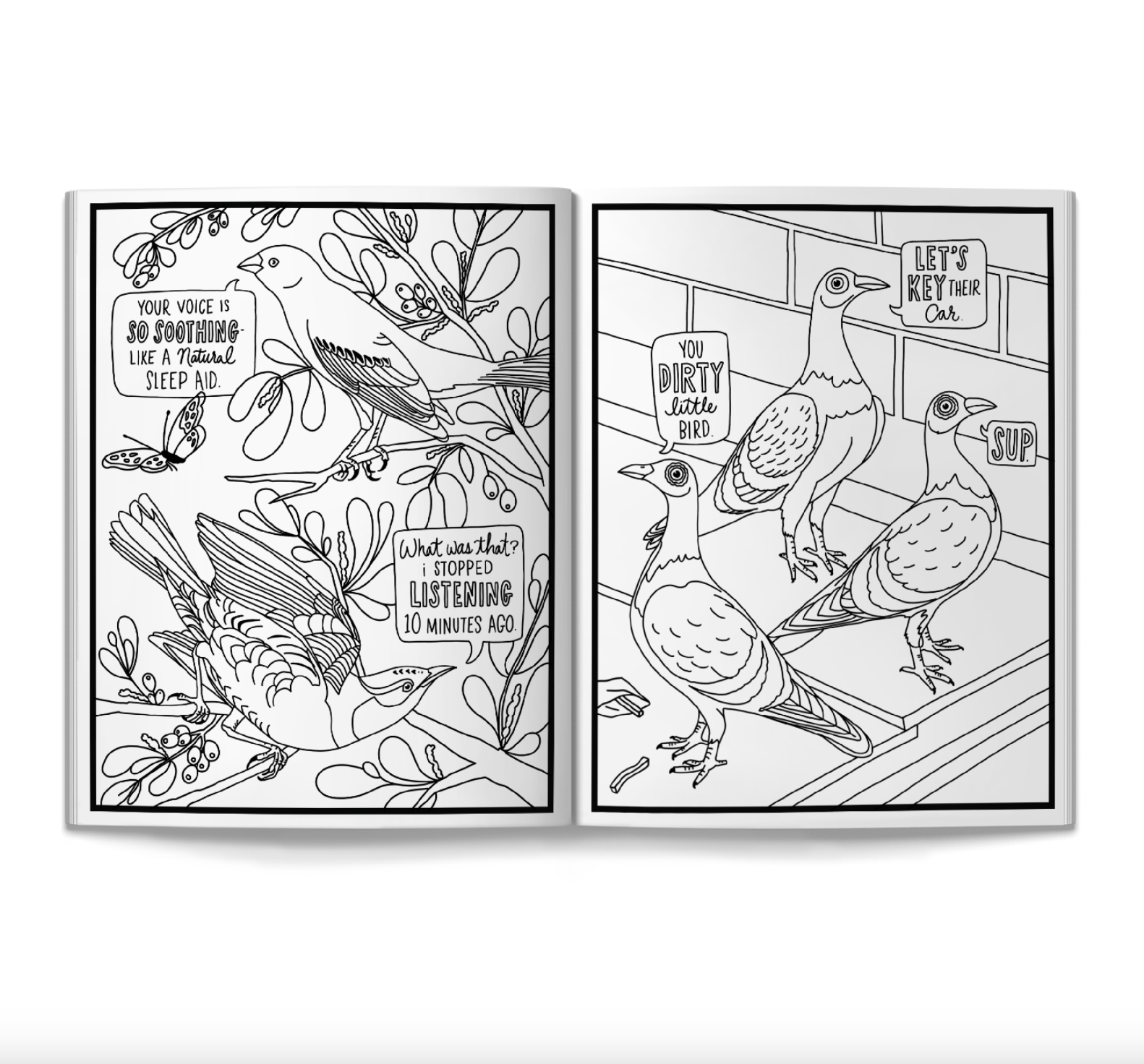 Salty Birds Colouring Book