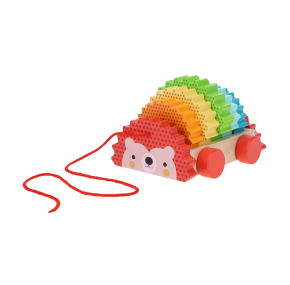 Rainbow Hedgehog Wooden Pull Toy