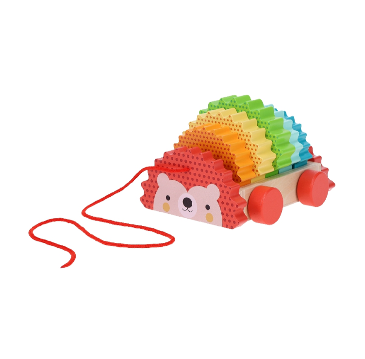 Rainbow Hedgehog Wooden Pull Toy