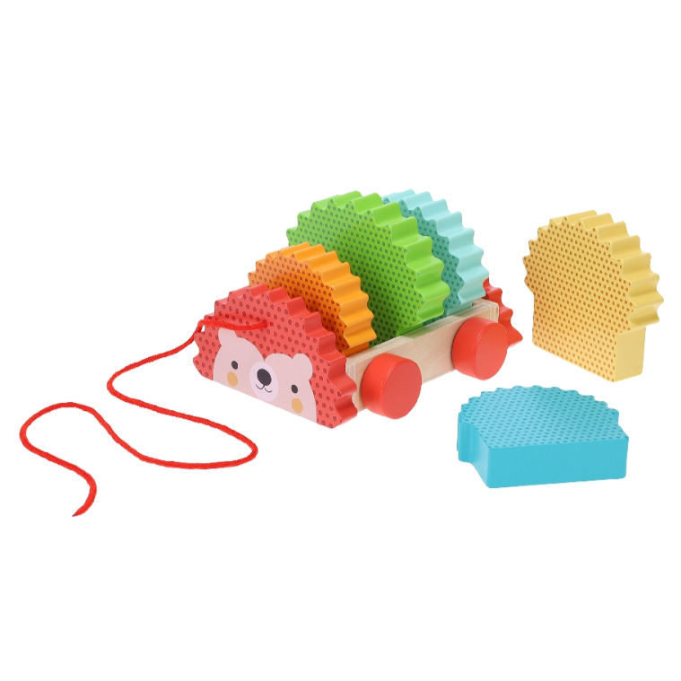 Rainbow Hedgehog Wooden Pull Toy