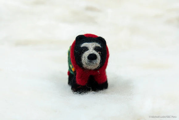 Needle Felted Holiday Spectacled Bear with Lights Ornament