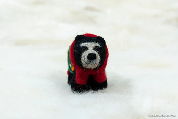 Needle Felted Holiday Spectacled Bear with Lights Ornament - 0