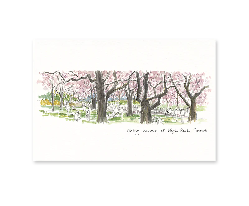 A white card with an illustration of cherry blossom trees at High Park. Underneath in script reads "Cherry blossoms at High Park, Toronto"